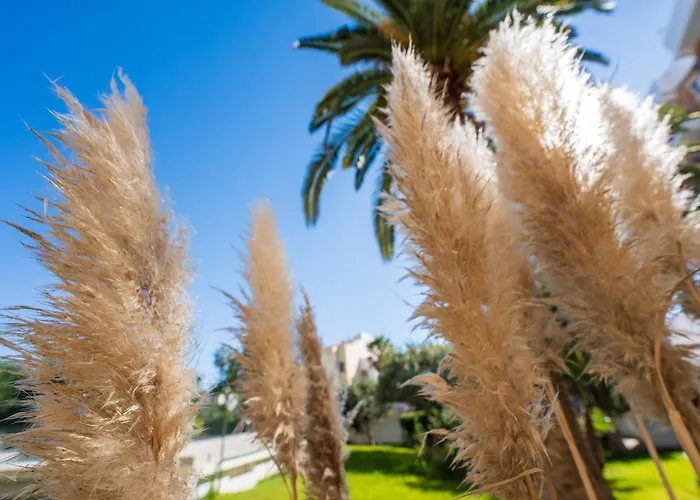 アパート Acapulco 18 By Casasol